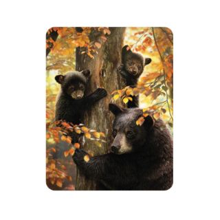 Obrázek z Magnet 3D 7x9cm - medvědi na stromě (25) 